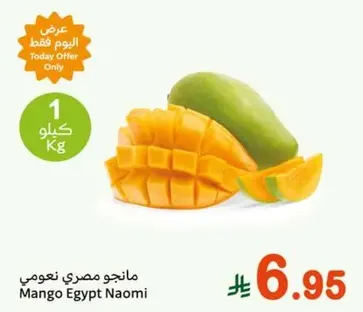 Egyptian Naomi Mango