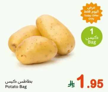 Potato Bag