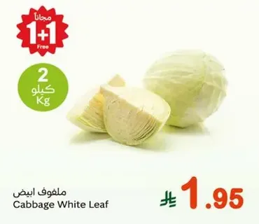 Cabbage White Leaf