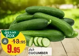 Cucumber