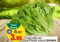 Lettuce Lollo Bionda