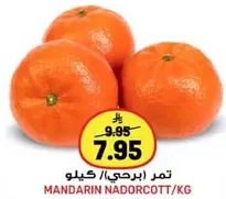 Mandarin Nadorcott
