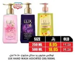 Lux Hand Wash Assorted 250/500ml