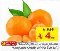Mandarin South Africa Per KG