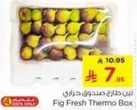 Fig Fresh Thermo Box