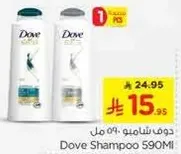 Dove Shampoo 590ml
