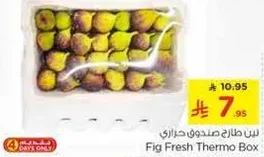 Fig Fresh Thermo Box