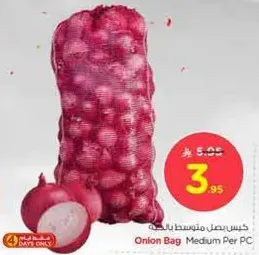 Onion Bag Medium Per PC