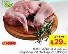 Naqiah Rabbit Meat Approx. 800gm