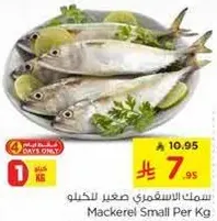 Mackerel Small Per Kg
