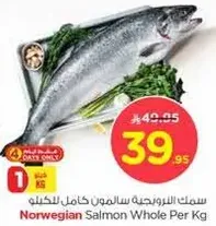Norwegian Salmon Whole Per Kg