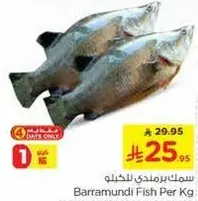 Barramundi Fish Per Kg