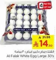 Al Falak White Egg Large 30's