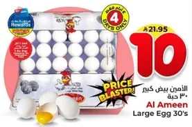Al Ameen Large Egg 30's