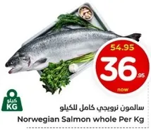 Norwegian Salmon whole Per Kg