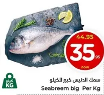Seabream big Per Kg