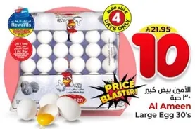 Al Ameen Large Egg 30's