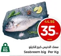 Seabream big Per Kg