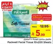 Packwell Facial Tissue 10x200 Sheets