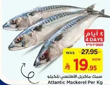 Atlantic Mackerel Per Kg
