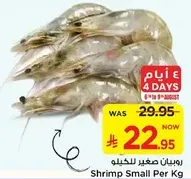 Shrimp Small Per Kg