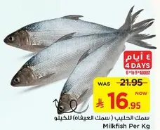 Milkfish (سمك الحلب) per kg