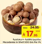 Macadamia in shell 500 gm per piece
