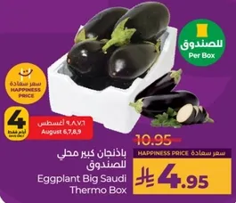 Eggplant Big Saudi Thermo Box