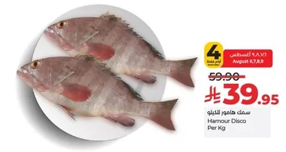 Hamour Disco per Kg