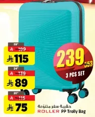 Roller PP Trolley Bag