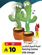 Dancing Cactus USB charger