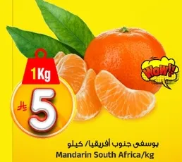 Mandarin South Africa/kg