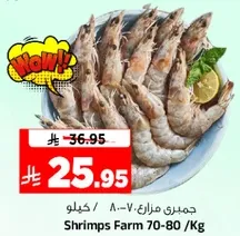 Shrimps Farm 70-80 /Kg
