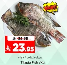 Tilapia Fish /Kg