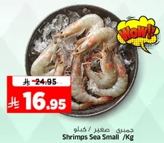 Small Sea Shrimps