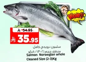 Salmon Norwegian whole Cleaned Size (2-3) Kg