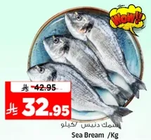 Sea Bream /Kg