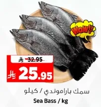 Sea Bass / kg