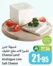 Cheesa Land Analogue Low Salt Cheese