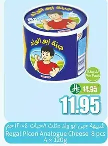 Regal Picon Analogue Cheese 8 pcs 120g each