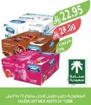 Saudia Light Milk Assorted 24 x 250 ml