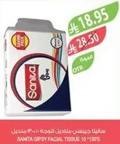 Sanita Gipsy Facial Tissue 10 Pcs