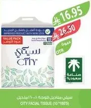 City Facial Tissue (10 packs of 180 sheets)