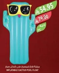 Inflatable cactus pool float