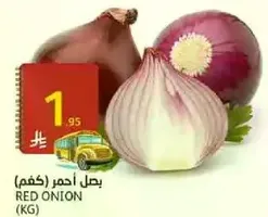 Red Onion