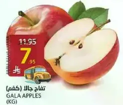 Gala Apples (KG)