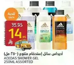 Adidas Shower Gel 250ml Assorted