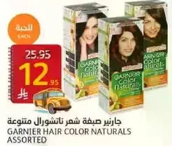 Garnier Hair Color Naturals Assorted