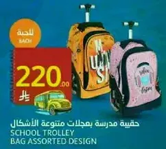 School trolley bag assorted design.
