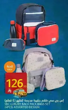 SBC Luxury Backpack Bags Set (4 pieces) assorted design.
